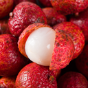 Litchi<