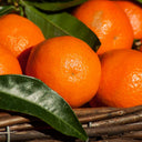 Mandarine